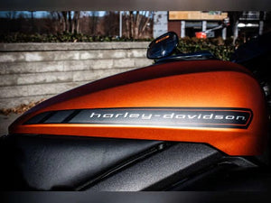 Harley Davidson LiveWire and the Future of Electric Motorcycles